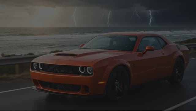 Grip the road, rain or shine.
